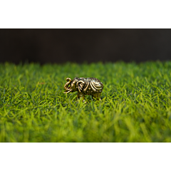 Brass Elephant statue KBH10156