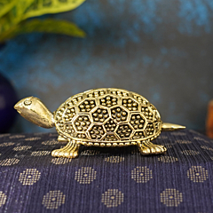 Brass Tortoise 1 Inch KBH10999
