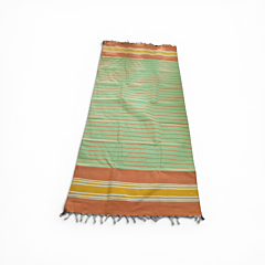 Bhavani Multi Colour Carpet