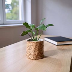 Plant Vase/Pot  