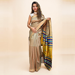 Handwoven Tussar Silk Saree with Extra Weft Design