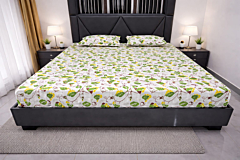 Handloom Printed Cotton Bedsheet with Two Pillow Cover