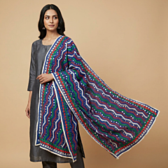 Hand-Embroidered Phulkari Georgette Dupatta | Multicolour