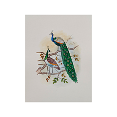 peacock painting love birds 