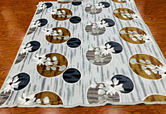 Blanket cum Warm Bedsheet with Pillow covers