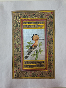 Bird miniature painting