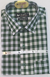 Cotton Shirt Handloom
