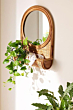 Cane mirror