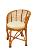 Handcrafted Cane Patio Chair with Cushion