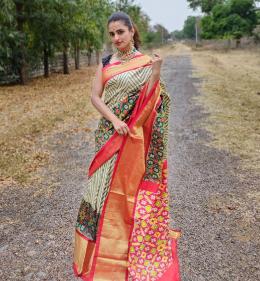 Pure silk handloom ikkat Saree