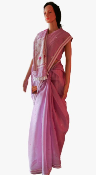 Raw Mulberry Silk and Cotton Saree