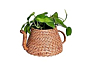 Rattan Cane Kettle Shaped Planter | Brown | 25 X 18 X 12 cm
