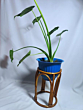 Cane & Bamboo Stand Plant Holder - Flower Vase Plant Stand