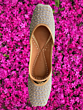 Handmade Punjabi Jutti | Grey