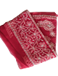 Red  Chikankari Saree Gerget