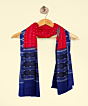 Red Blue Sambalpuri Handwoven Single Ikat Cotton Dupatta SFCDUP168A