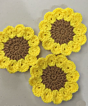 Handmade Vasista PCL Coasters | Set of 3