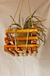Wall Hanging Planter - Pot Bamboo Planter (Jhumur Planter)