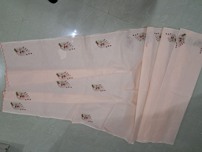 Hand Embroidered Saree
