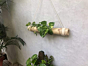 Bamboo Hanging Planter with Disposable Gloves