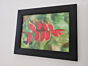 Heliconia  Wall decor using painting