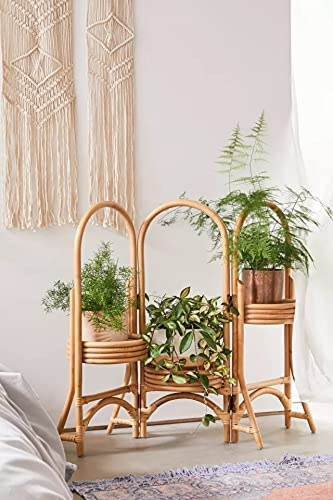 Bamboo Cane Planter for Balcony Indoor and Outdoor | 3 in 1 Stand