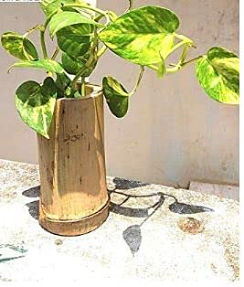 Wall Hanging Pot Planter, Bamboo POTS for Wall Hanging Planter