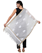Firgun White Lucknowi Chikankari Dupatta in Soft Kota Cotton - Dyeable Fabric