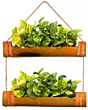 Dastkar Crafts Hanging Bamboo Planters with Adjustable Rope - Pack of 2