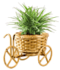 Handmade Cane & Bamboo Cycle Rikshaw Planter
