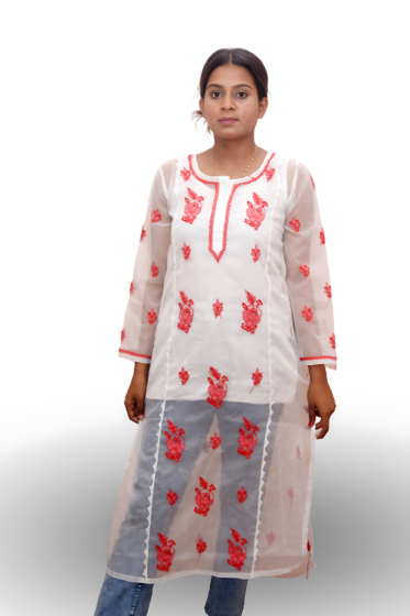 Organza chikankari kurti