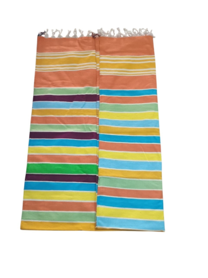 Bhavani Multi Colour  Carpet