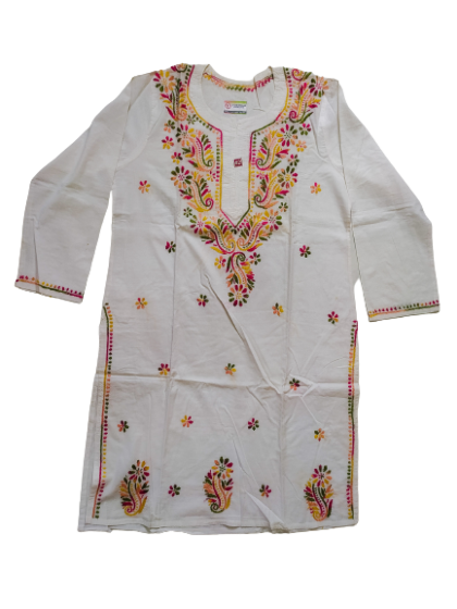 Nidhi Fashion Multi Color Embroidery Kurti