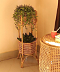 Handmade Natural Cane Flowe Pot Plant Stand Planter | Rattan | Varnish Brown Color | 1 Piece