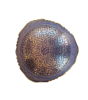 Elegant Brass fruit bowl triangle shaped