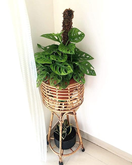 Cane Bamboo Planter Stand for Home Garden & Balcony 