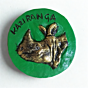 Terracotta Kaziranga Rhino magnet