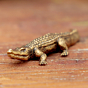 Brass Crocodile Mini Figurine Showpiece for Home Decor & Gift, BH12396