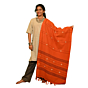 Authentic Kotpad Cotton Dupatta | Burnt Orange with Tribal Motifs & Woven Stripes | Handwoven Koraput Odisha