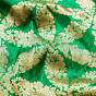 Nasreen Handwoven Banarasi Saree in Green