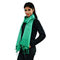 Pure Handloom Tasar Silk Dyed Stole | Sea Green