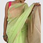 Pastel Green Maheshwari Silk Cotton Handloom Saree with Elegant Gold Zari Pallu