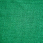 Pure Handloom Tasar Silk Dyed Stole | Sea Green