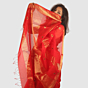 Ruby Red Maheshwari Silk Cotton Saree with Golden Zari Border