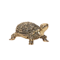 Brass Tortoise for Vastu & Feng Shui Decorative Brass Turtle Showpiece for Home Decor BH11382