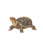 Brass Tortoise for Vastu & Feng Shui Decorative Brass Turtle Showpiece for Home Decor BH11382