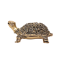 Brass Tortoise for Vastu & Feng Shui Decorative Brass Turtle Showpiece for Home Decor BH11382