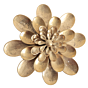 Brass Flower 3D Wall Hanging | Decorative Brass Floral Wall Art for Home Decor BH11325