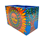 Surye Stationary Oraganiser