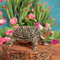 Brass Tortoise for Vastu & Feng Shui Decorative Brass Turtle Showpiece for Home Decor BH11382